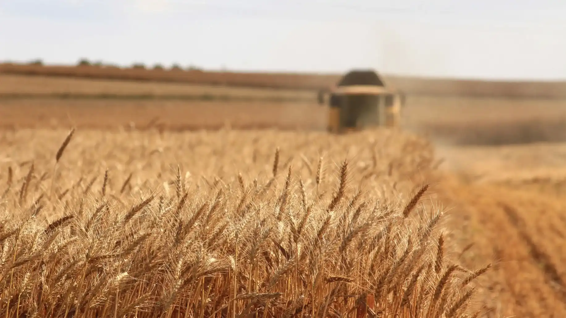 Agribusiness Logistics